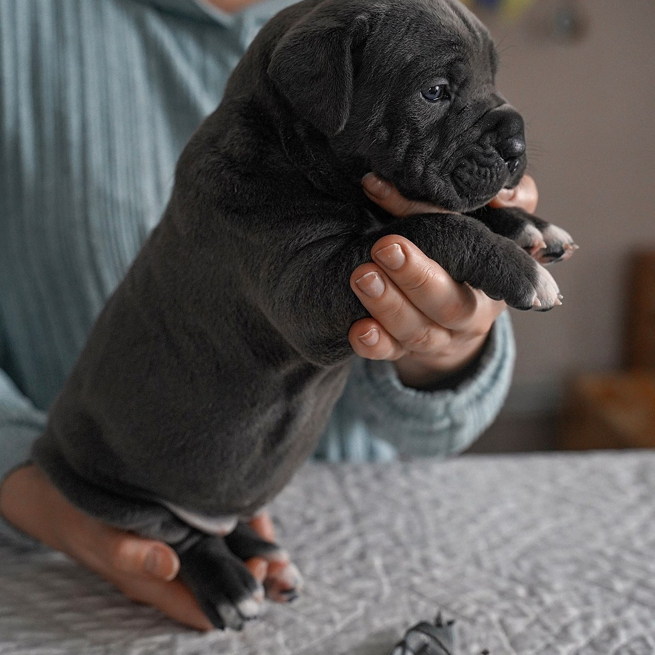 Семейный и свадебный фотограф Елена Граф. Свадебный и семейный фотограф в Екатеринбурге ЕЛЕНА ГРАФ