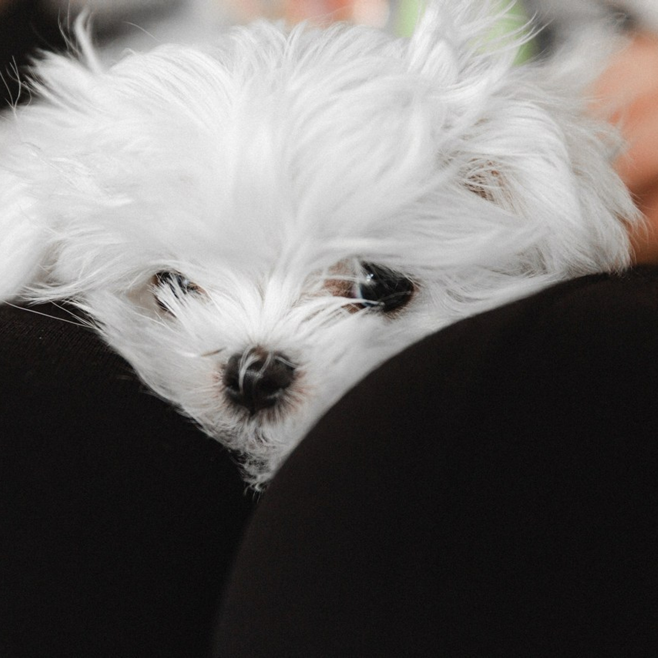 Отзывы. Фотограф в городе Якутске Береговая Ксения