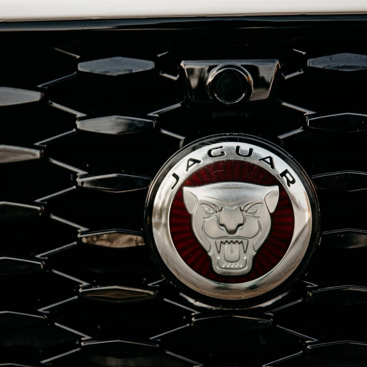 Отзывы. Свадебный фотограф в Алексеевке Сергей Коротенко