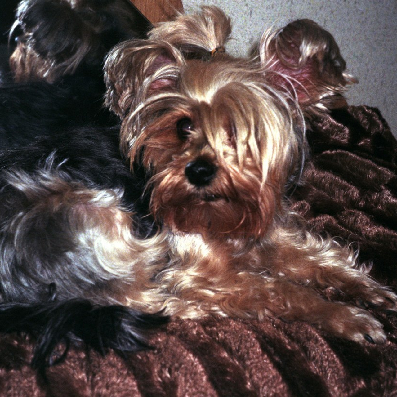 ДАРКРOOM. Пленочный фотограф на КМВ Мирнов Игорь