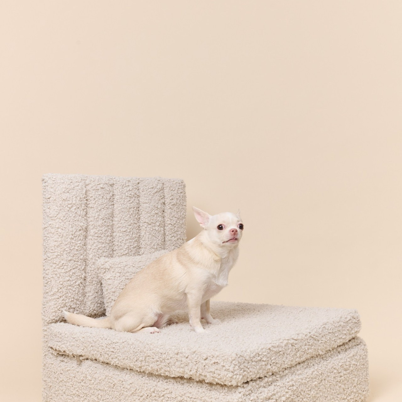 Отзывы. Фотограф Москва