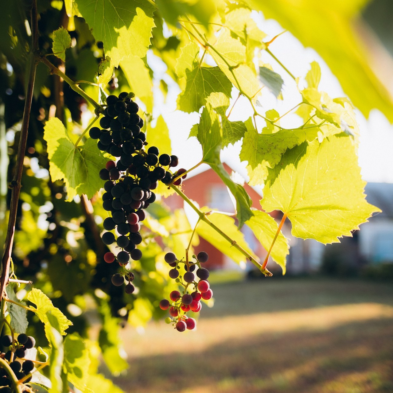 Отзывы. Семейный и детский фотограф в Пензе Анна Михайлова