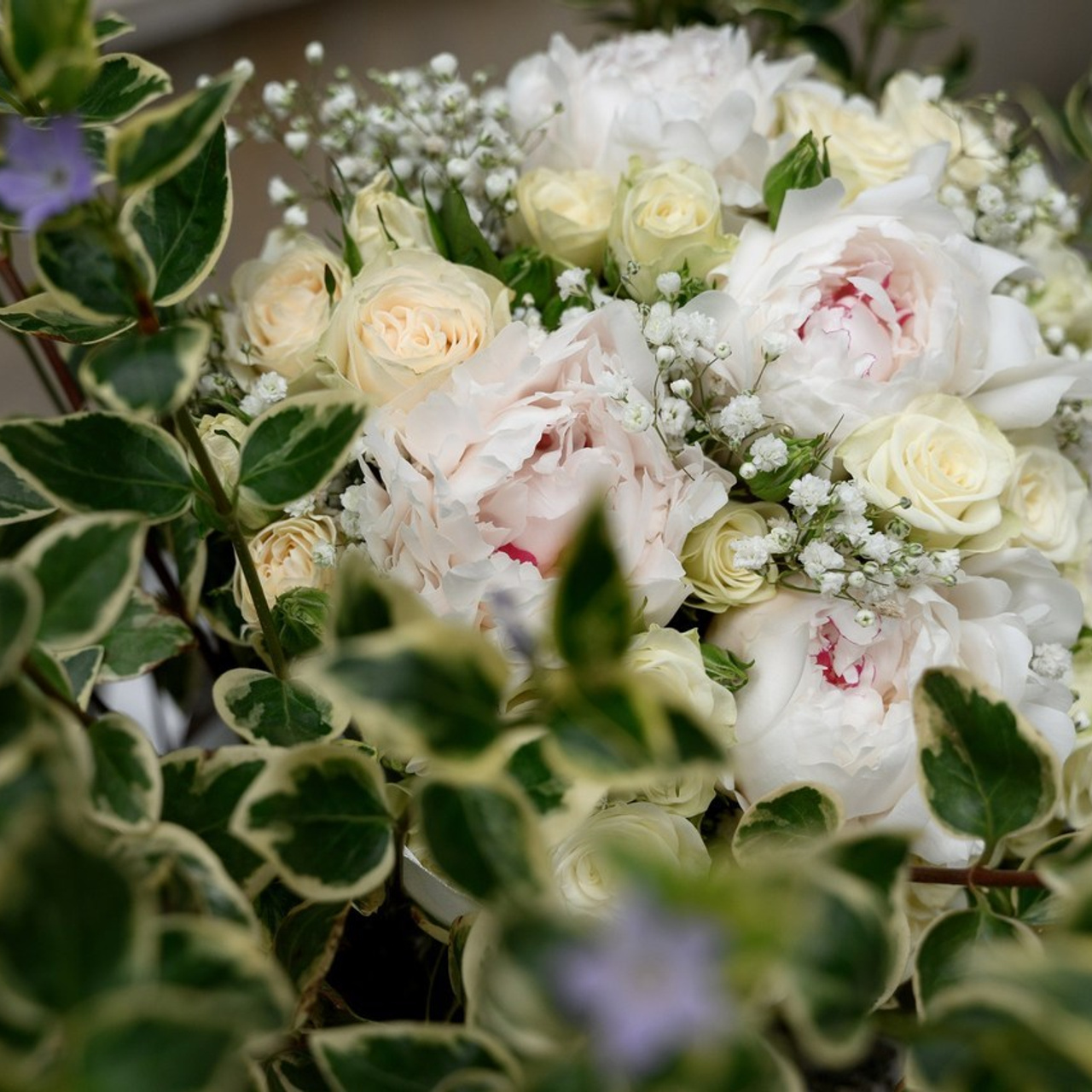 Отзывы клиентов в 2025 году. Репортажный фотограф Сочи