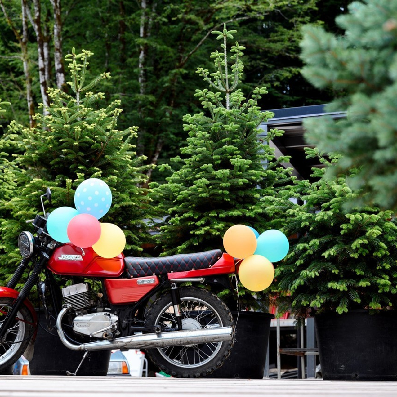 Отзывы клиентов в 2025 году. Репортажный фотограф Сочи