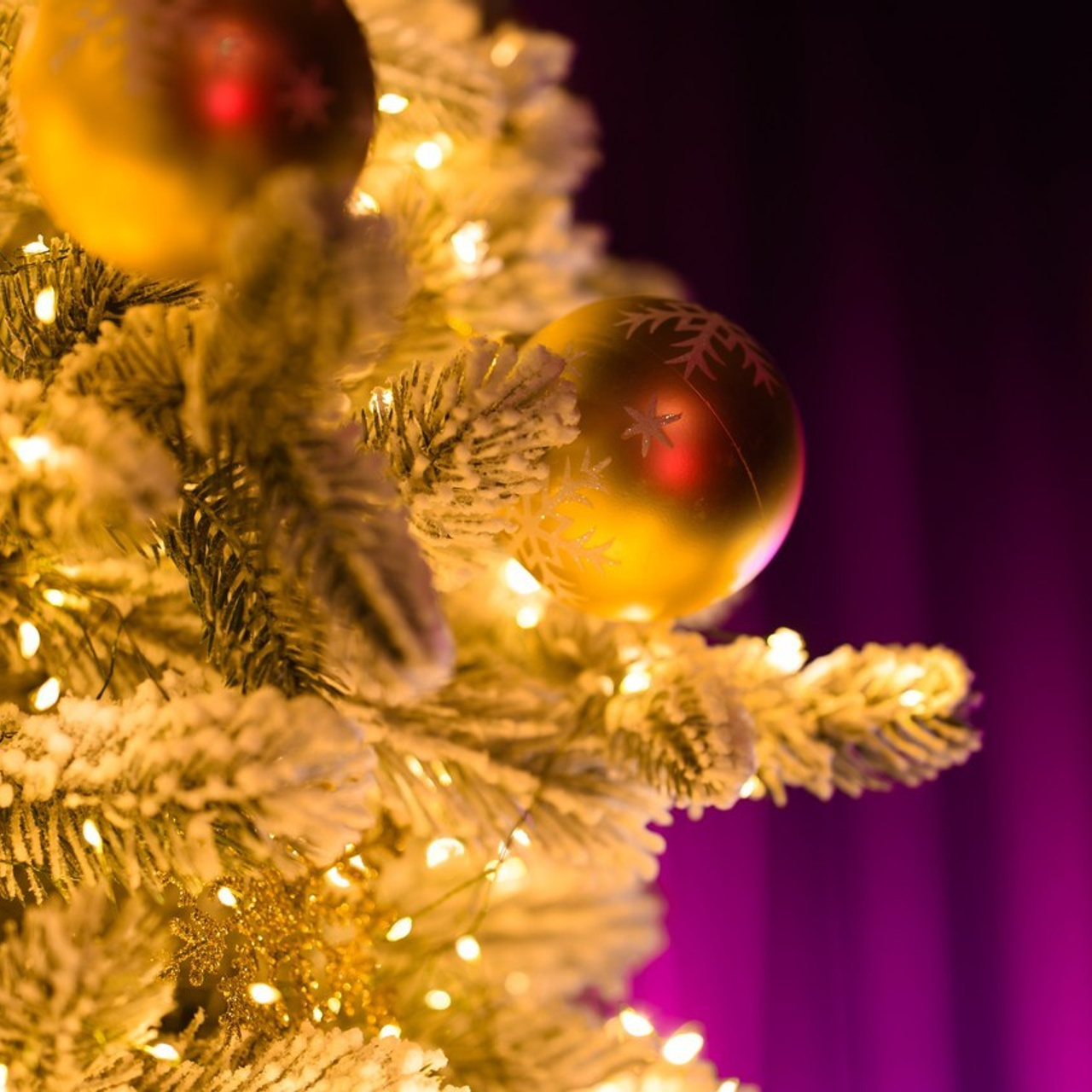 Отзывы клиентов в 2025 году. Репортажный фотограф Сочи