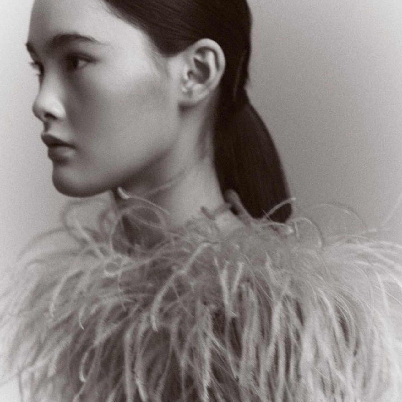 Cassis x Saks x Carine