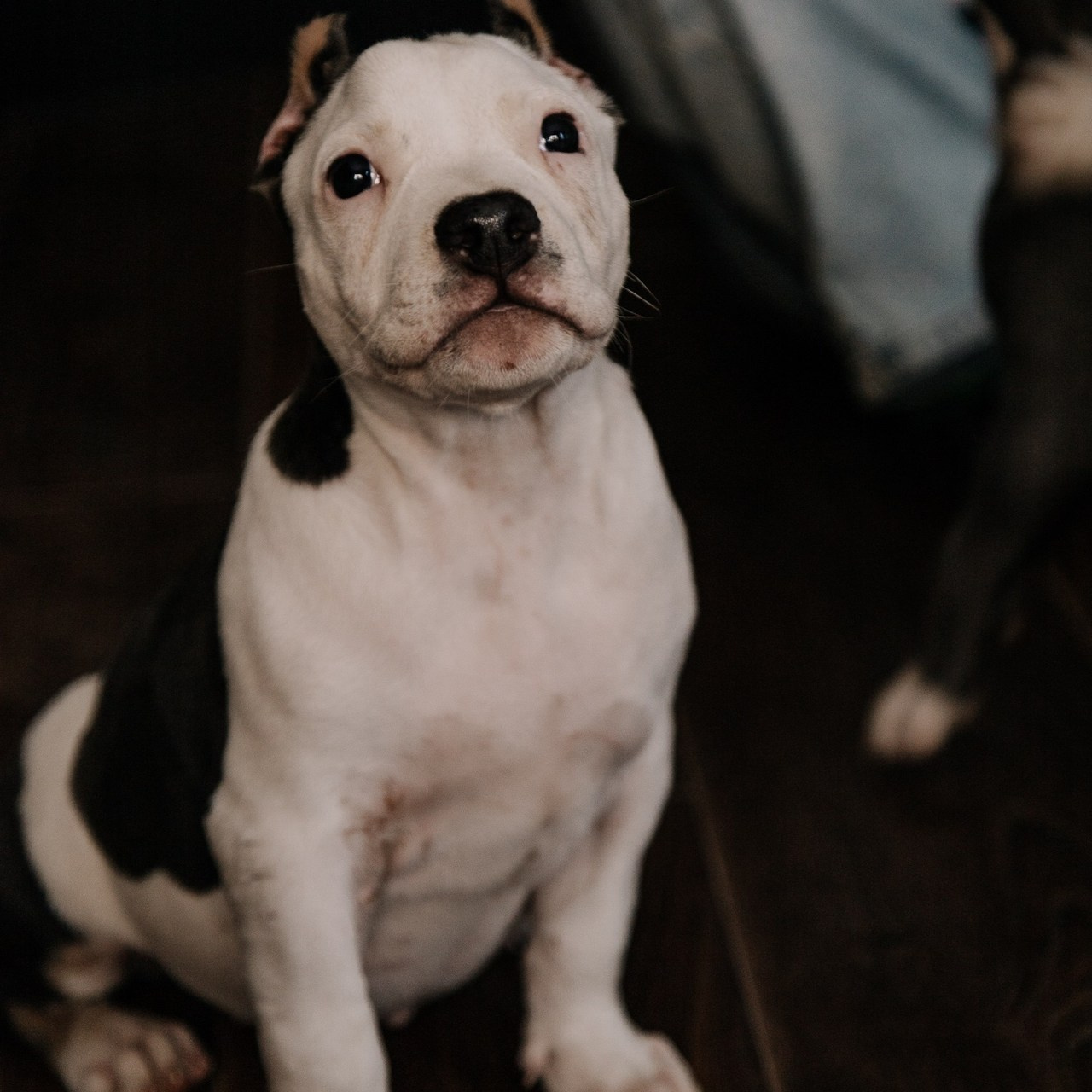 Отзывы. Ph Volova