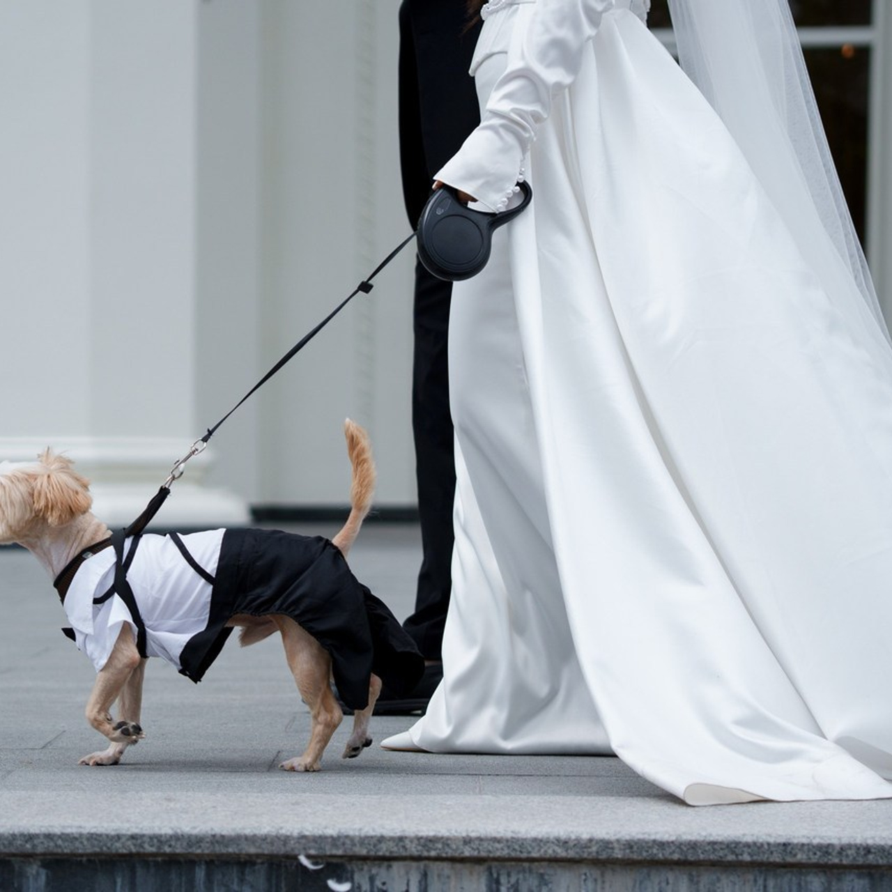 Отзывы. Фотограф в Краснодаре — свадьбы, любовные истории, семейные фото сесси