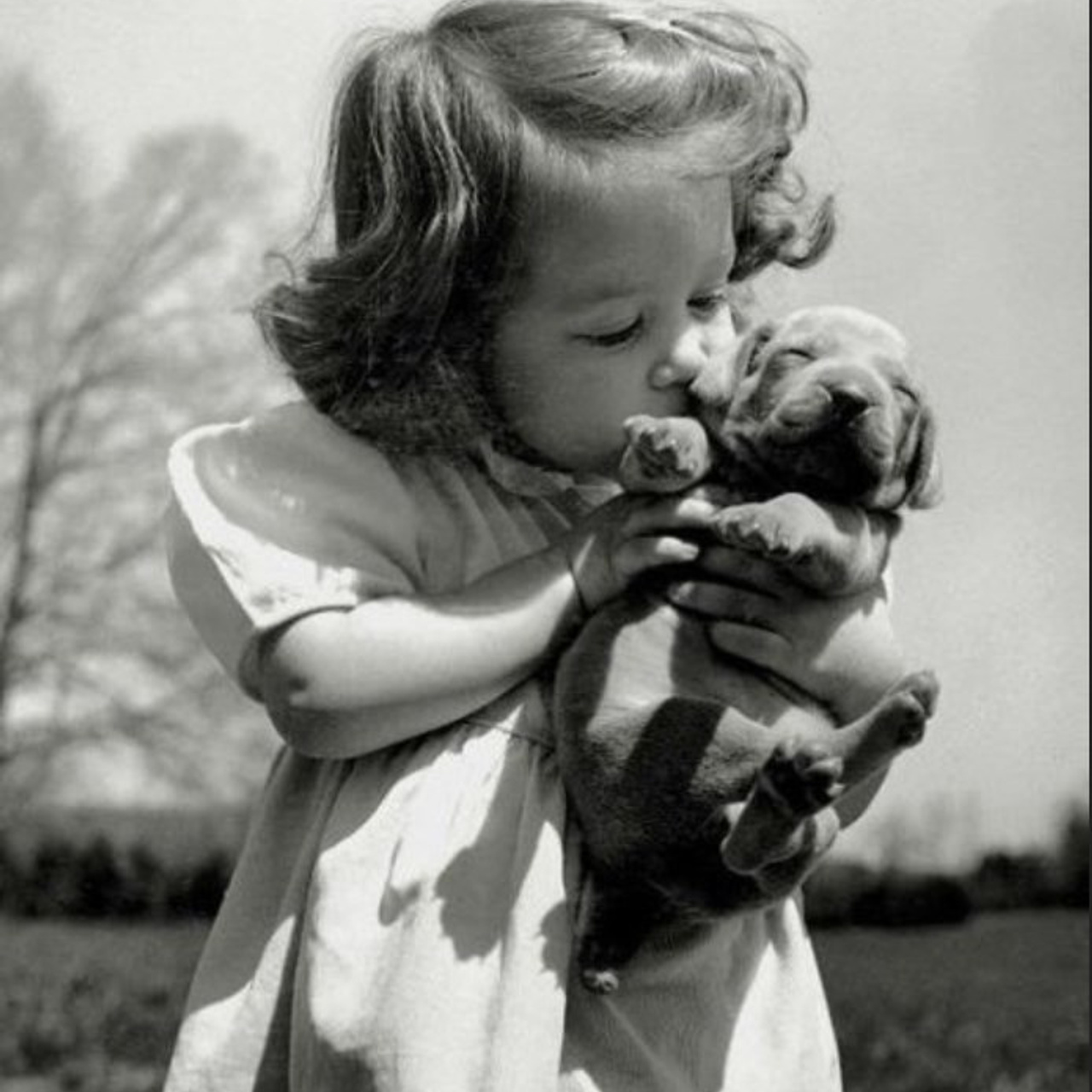 Свадебный и семейный фотограф в Омске Мормулев Михаил. Свадебный и семейный фотограф в Омске Мормулев Михаил