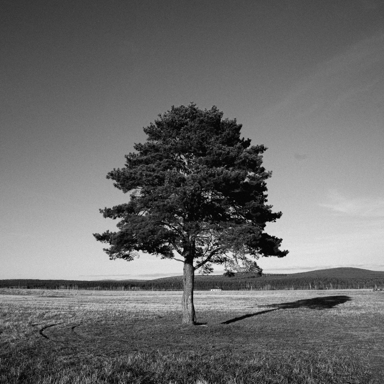 Отзывы. Ирина Мочалова Фотограф Первоуральск/Екатеринбург