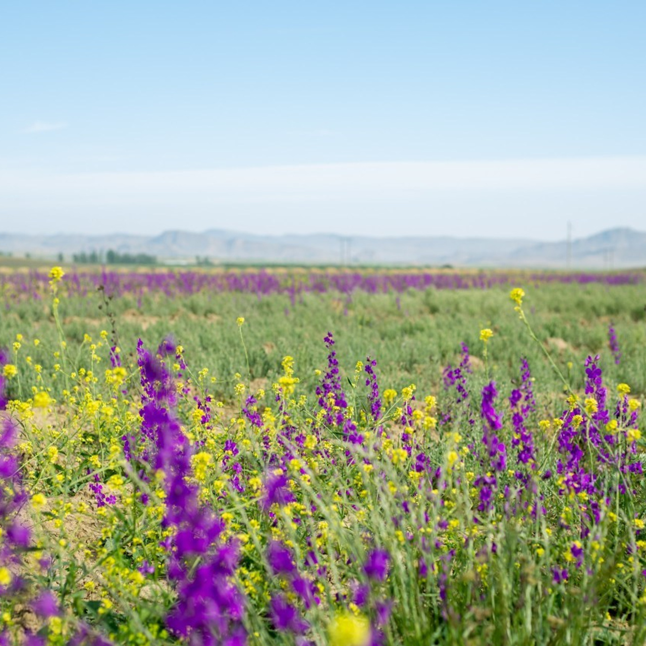 Отзывы. Главная