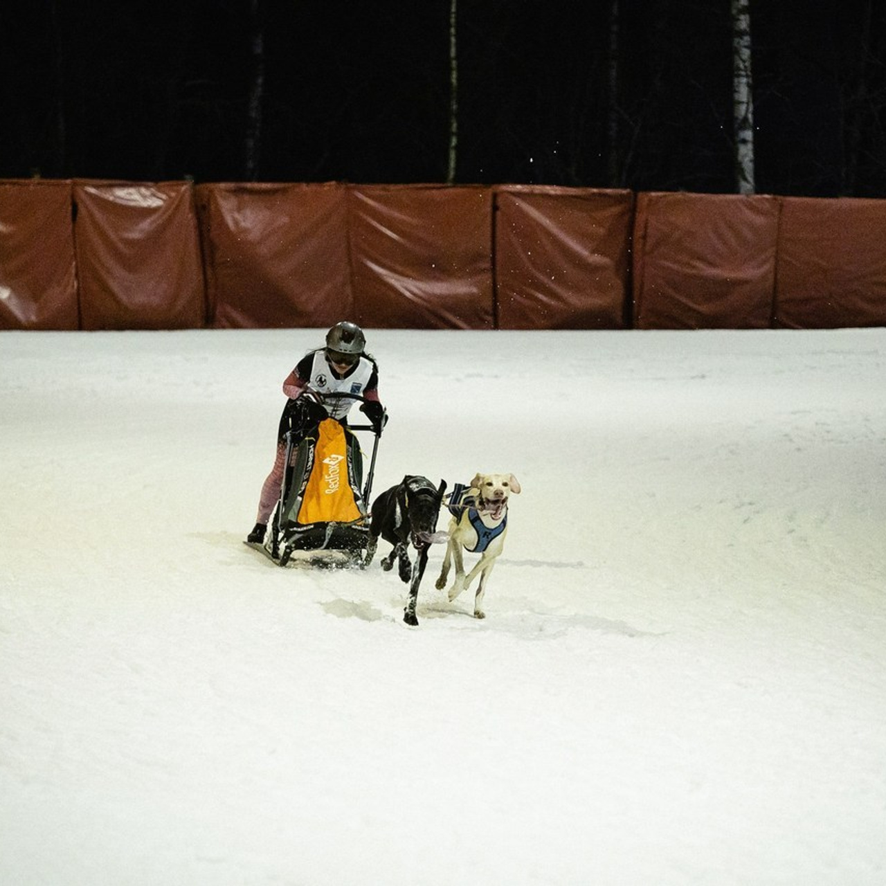 Отзывы о Фотографе и Видеографе Александре Романове. Фото и Видеосъемка на ваше мероприятие. Александр Романов