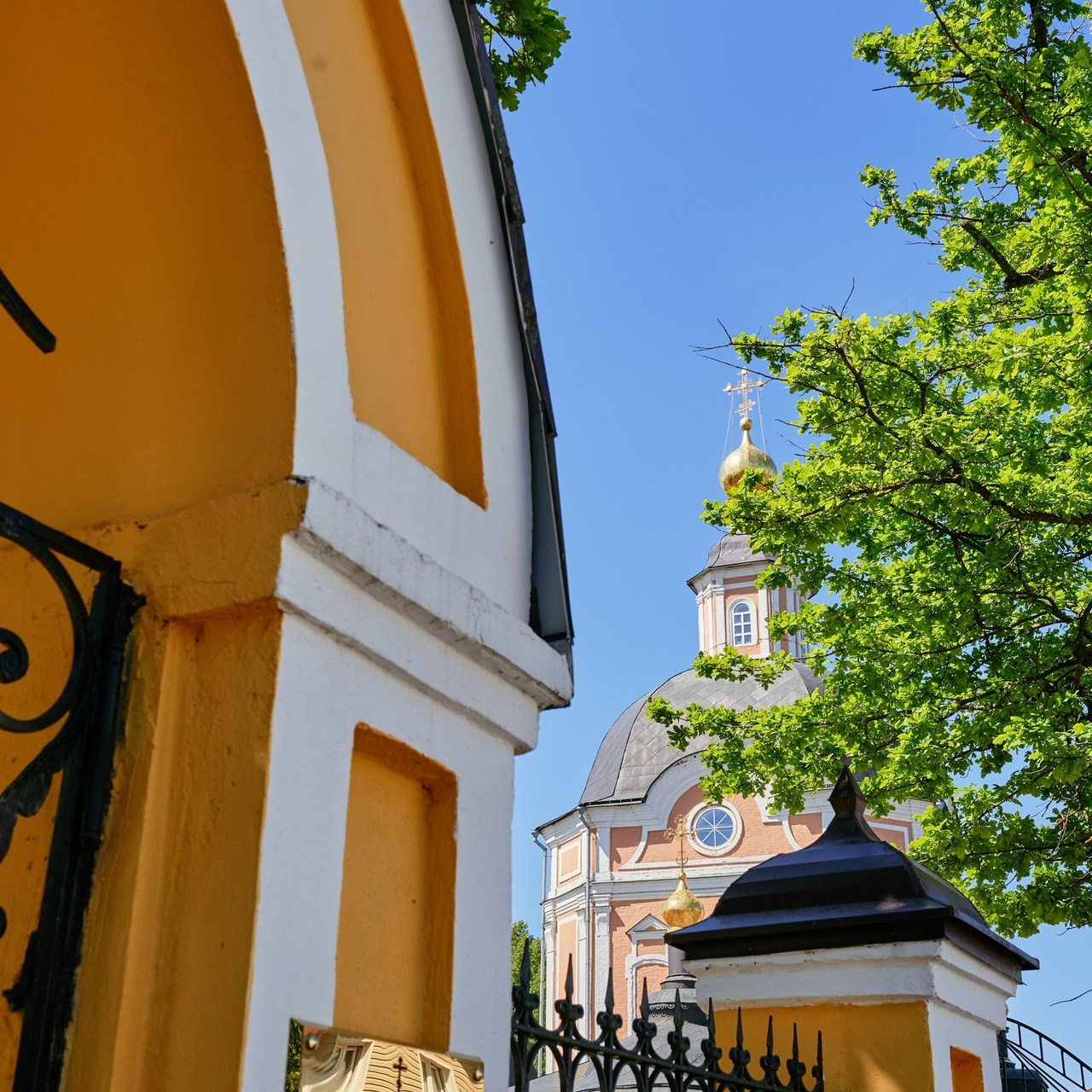 Отзывы. Снимаю жизнь ❤