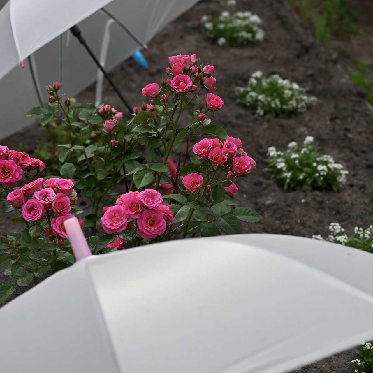 Отзывы. Фотограф в Иркутске Славная Юлия