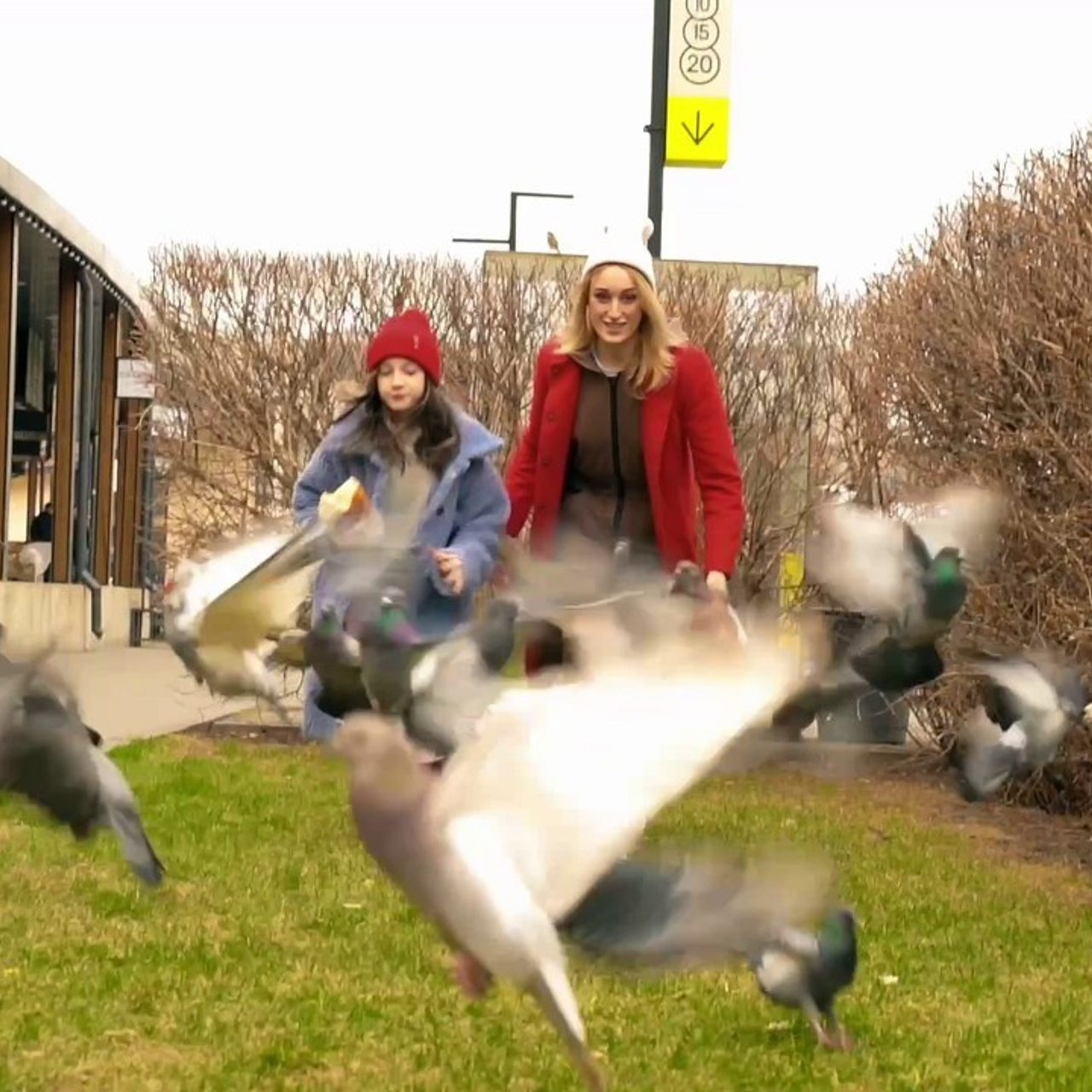 Отзывы. Семейный и портретный фотограф в Москве Яна Прасолова