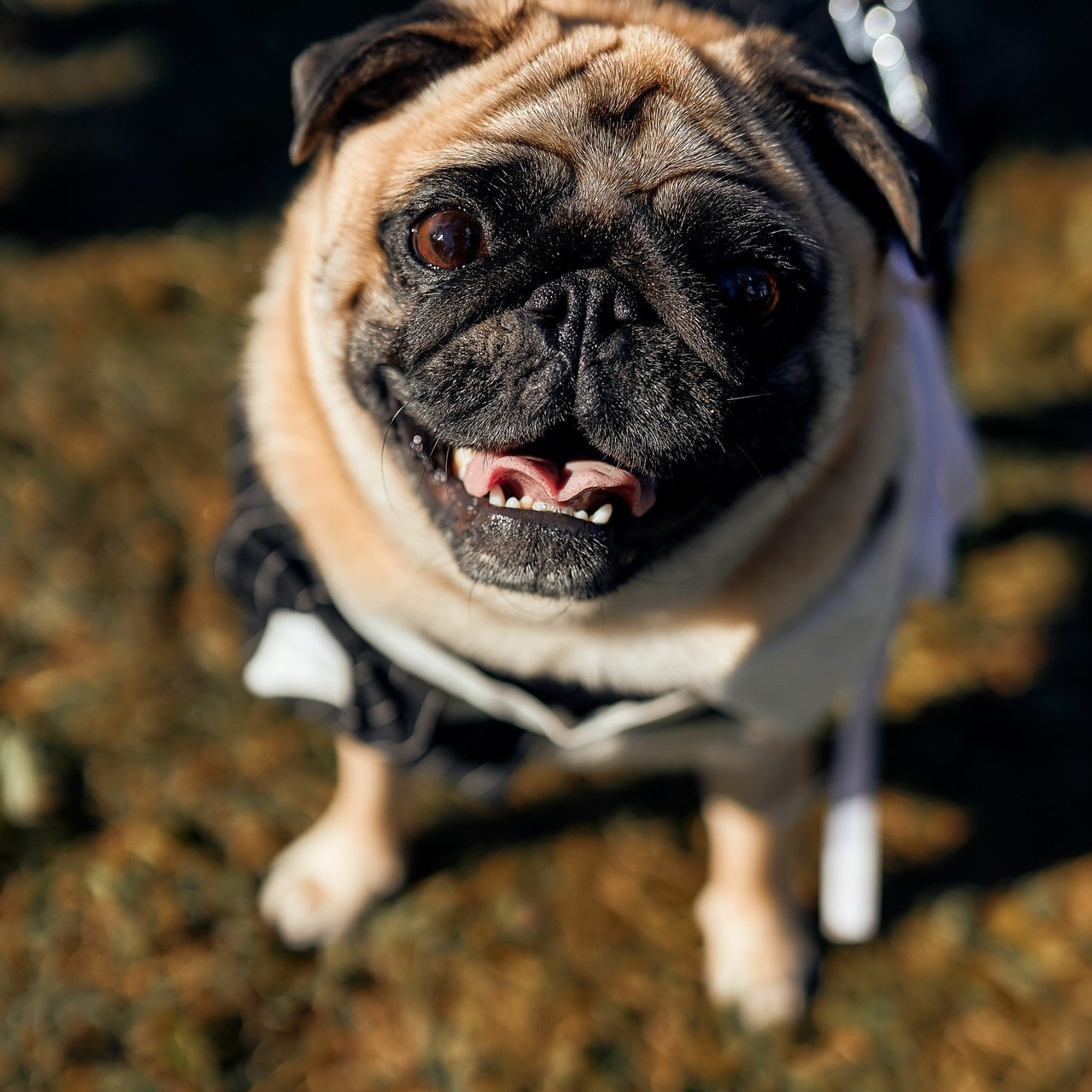 Отзывы. Свадебный и портретный фотограф в Саранске Алексей Миганов