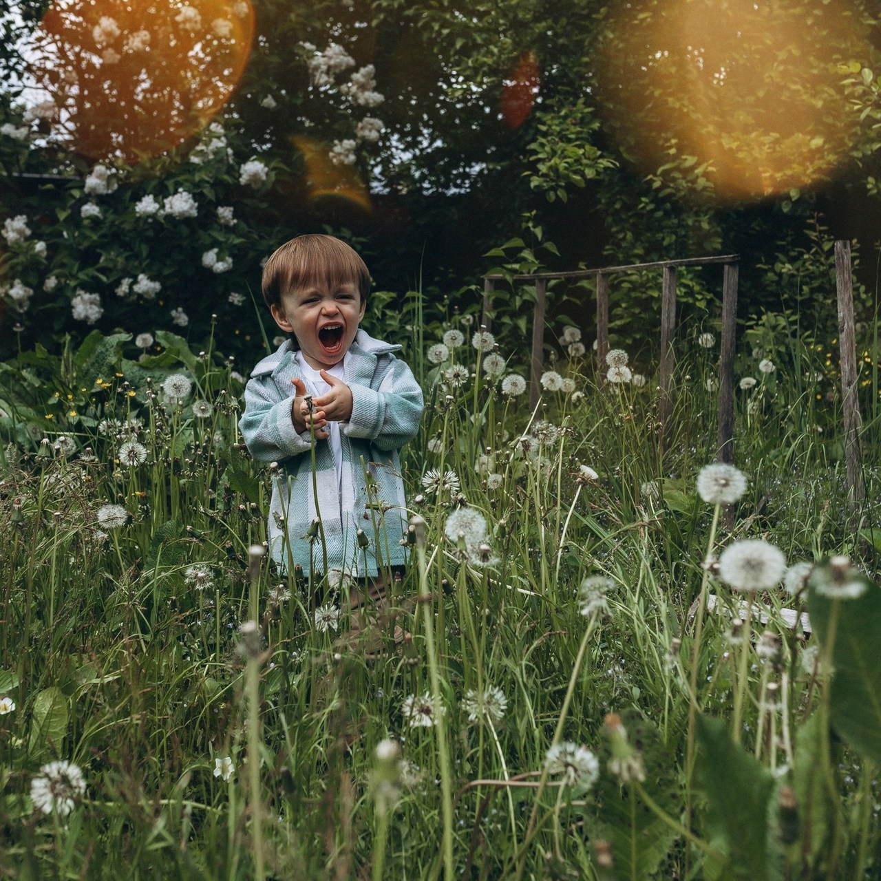 Отзывы. Семейный фотограф в Москве Марина Аргунова