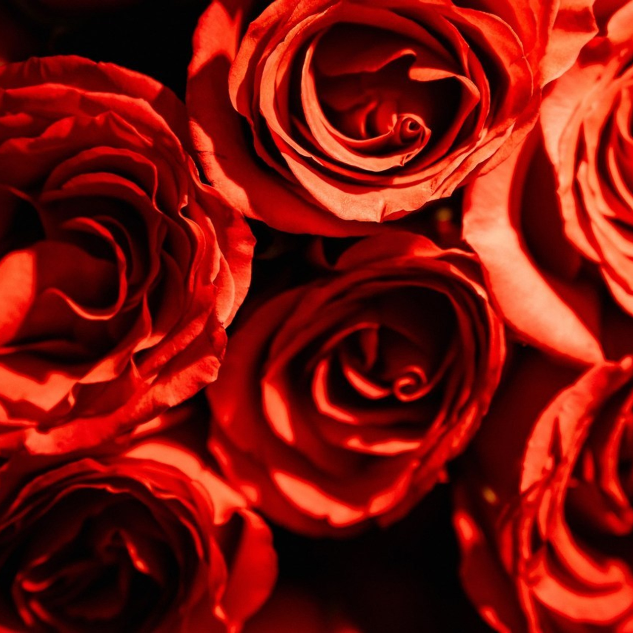 Отзывы. Семейный и портретный фотограф в г. Орск Алишер Азимов