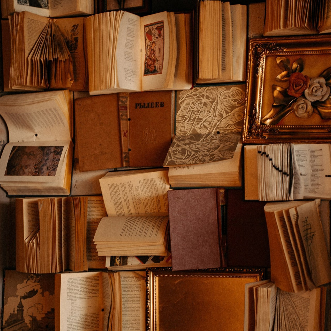 Отзывы. Семейный и портретный фотограф в г. Орск Алишер Азимов