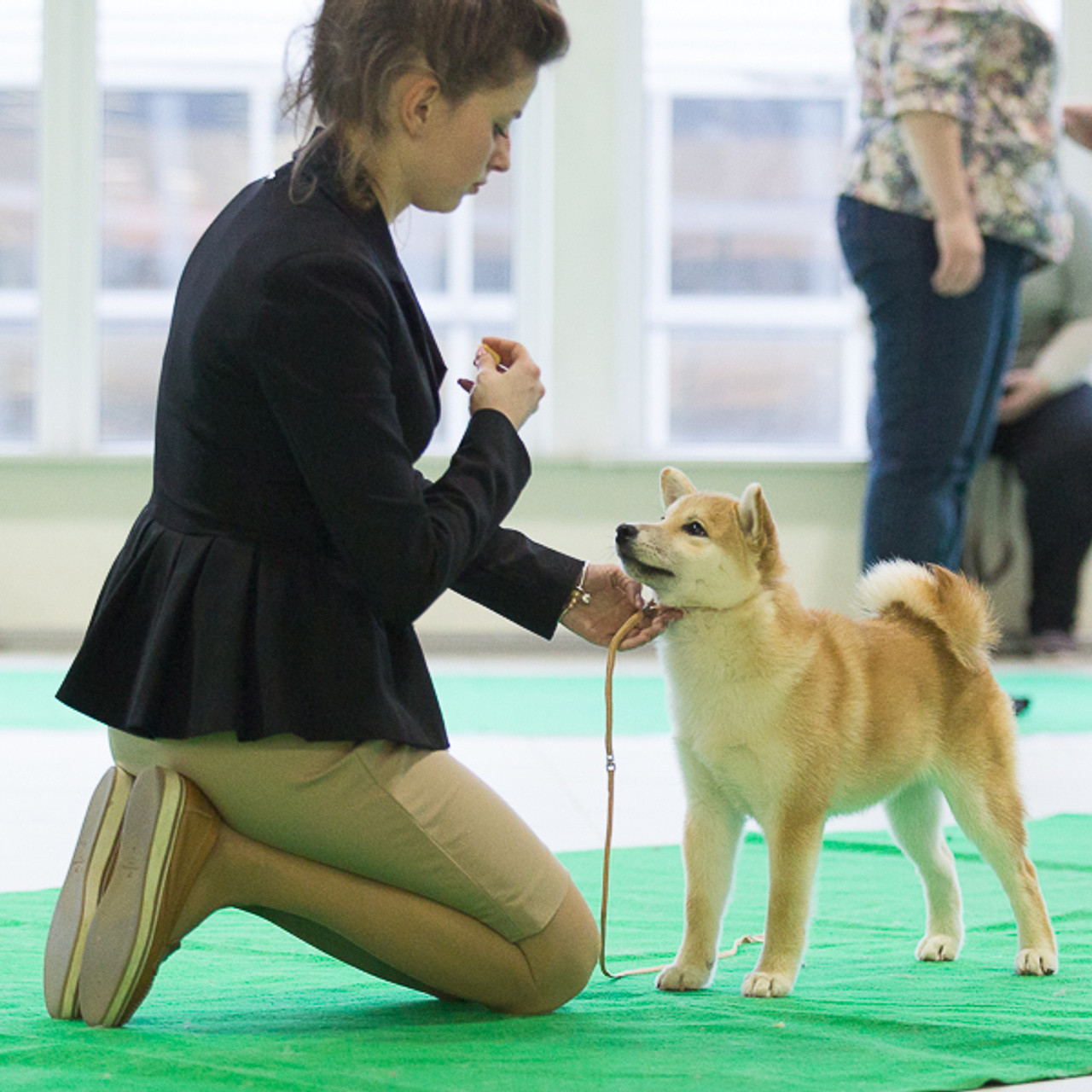 Отзывы. Центр развития кинологии Звезда Невы