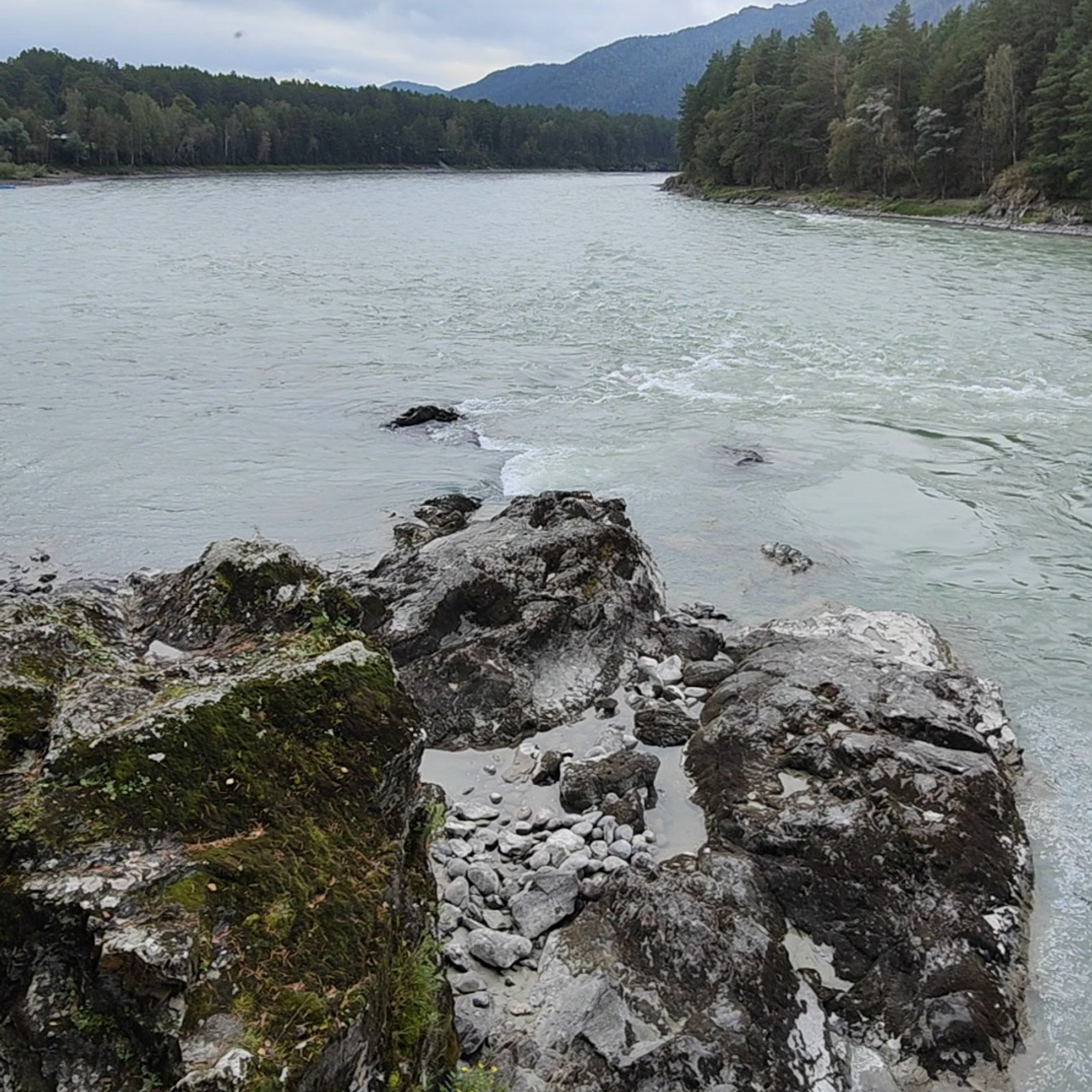 Панорамы Катуни и река Сема в Ботаническом саду. Фотограф-документалист Мария Осокина