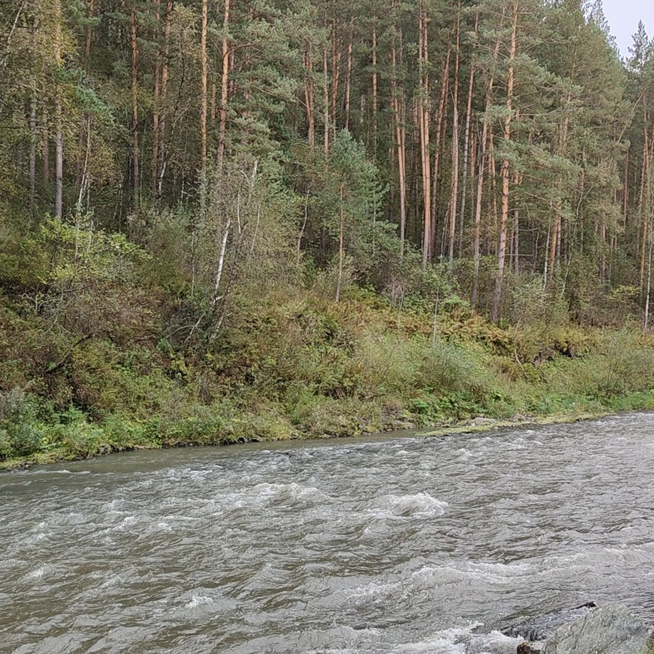 Курорт Манжерок, поход к Золотой Бабе и кофе в Берендеевке. Фотограф-документалист Мария Осокина