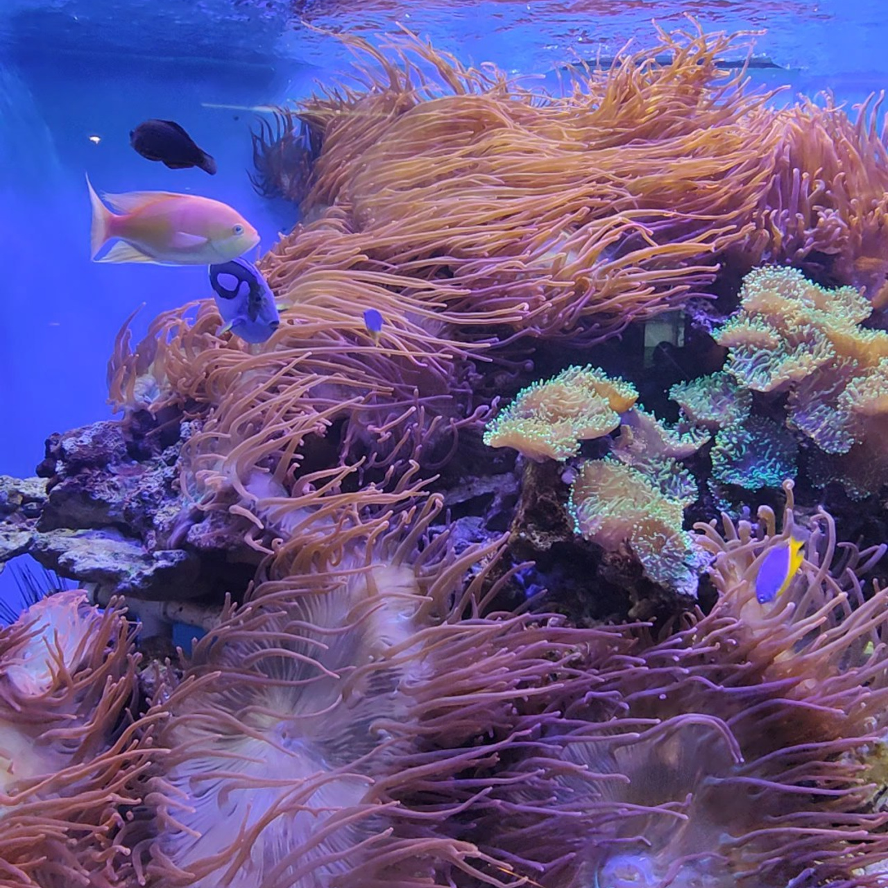 Культурная программа в дождливый день. Фотограф-документалист Мария Осокина