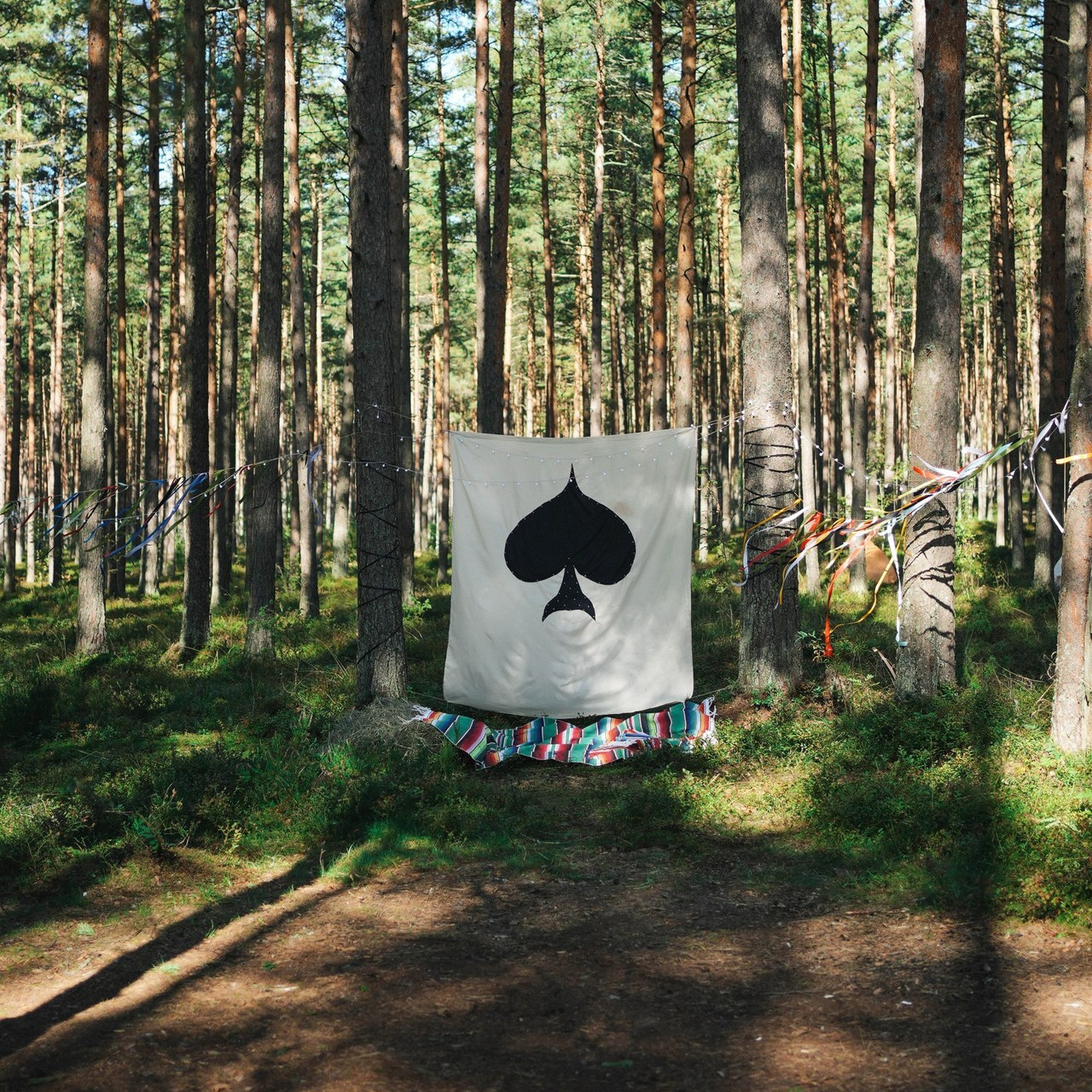 Feedback. Ксения Копна. Фотограф из Санкт-Петербурга