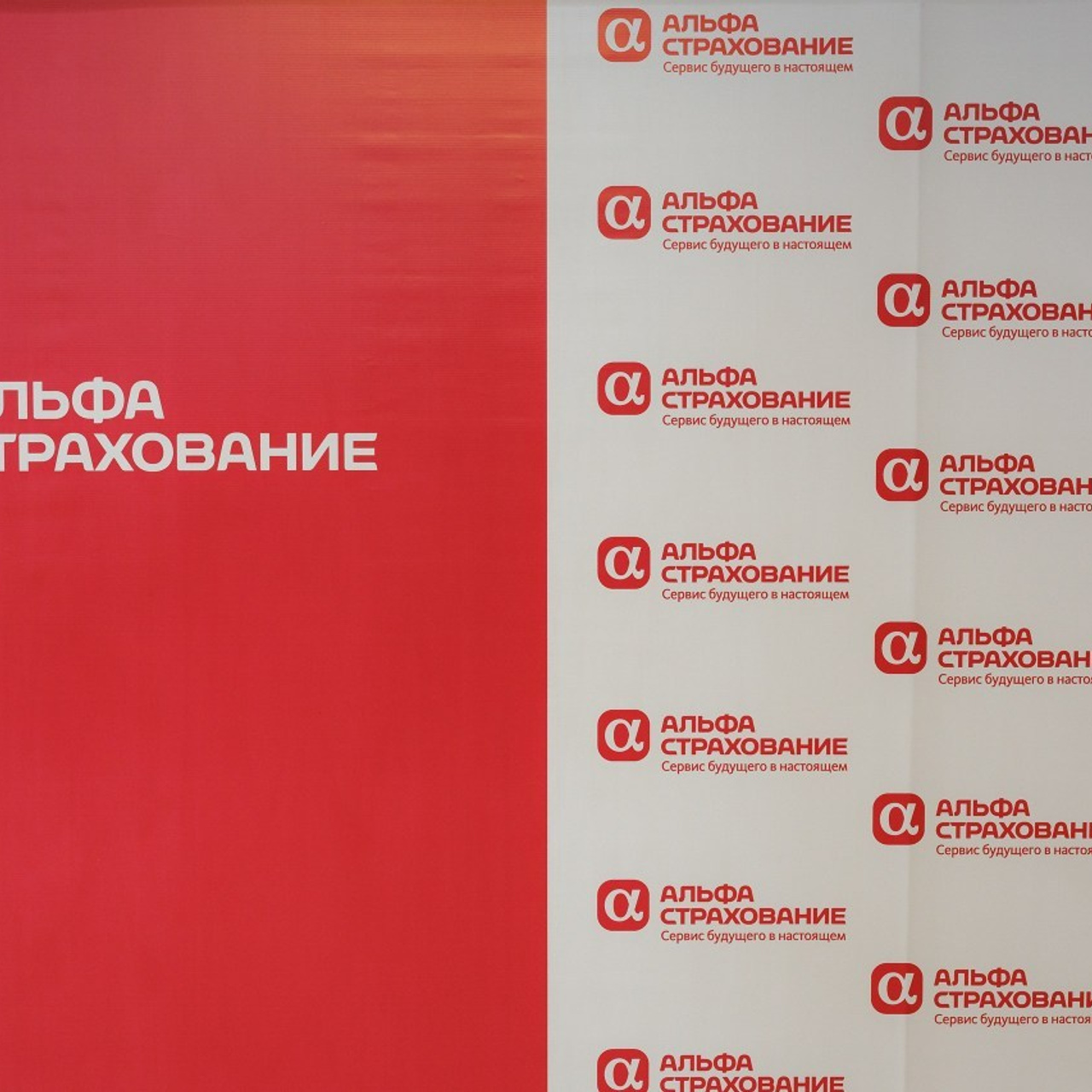 Отзывы. Репортажная фотосъемка. Архангельск