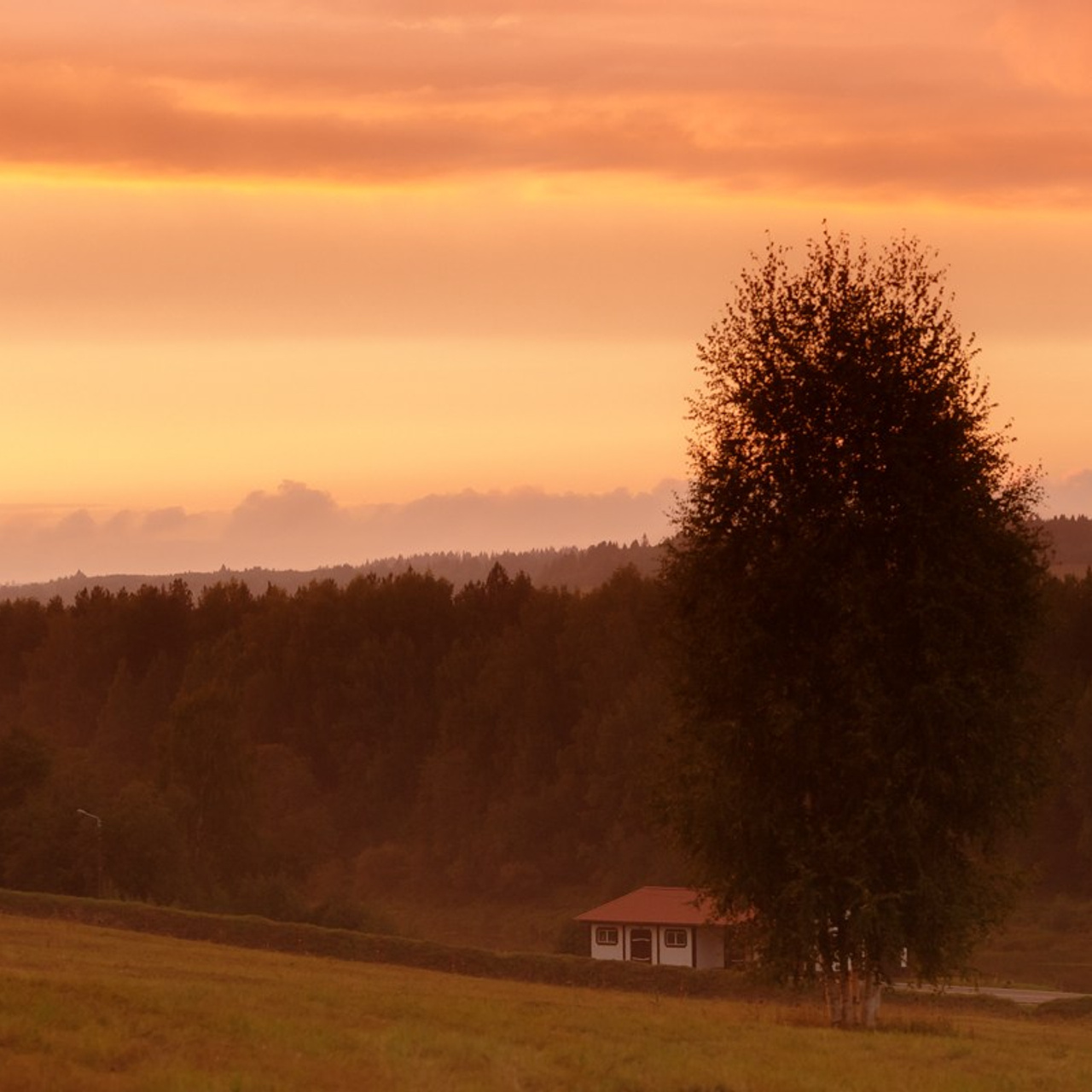 «Лесоруб XXI века» и «Королева леса». Репортажная фотосъемка. Архангельск
