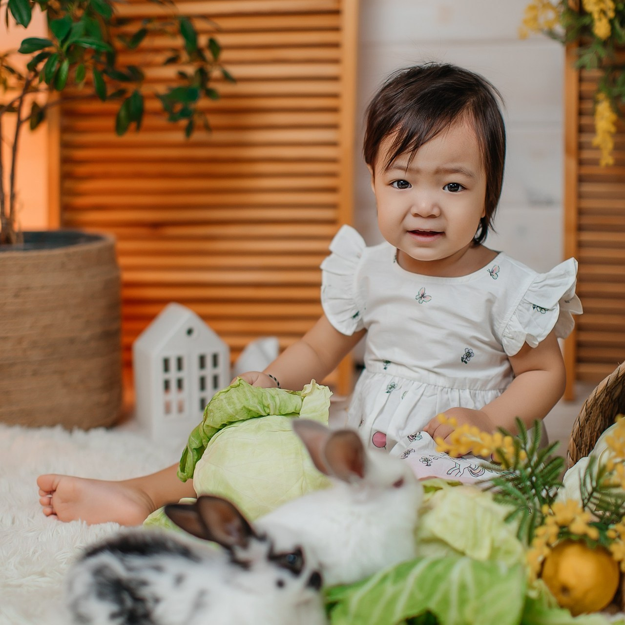 Отзывы. Семейный фотограф