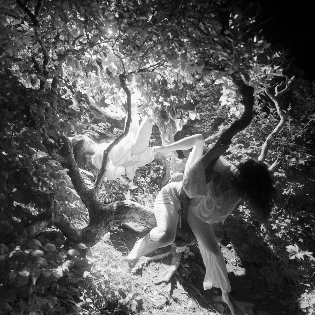 Отзывы о фотографе из Владивостока Созданов Максим. Созданов Максим фотограф во Владивостоке