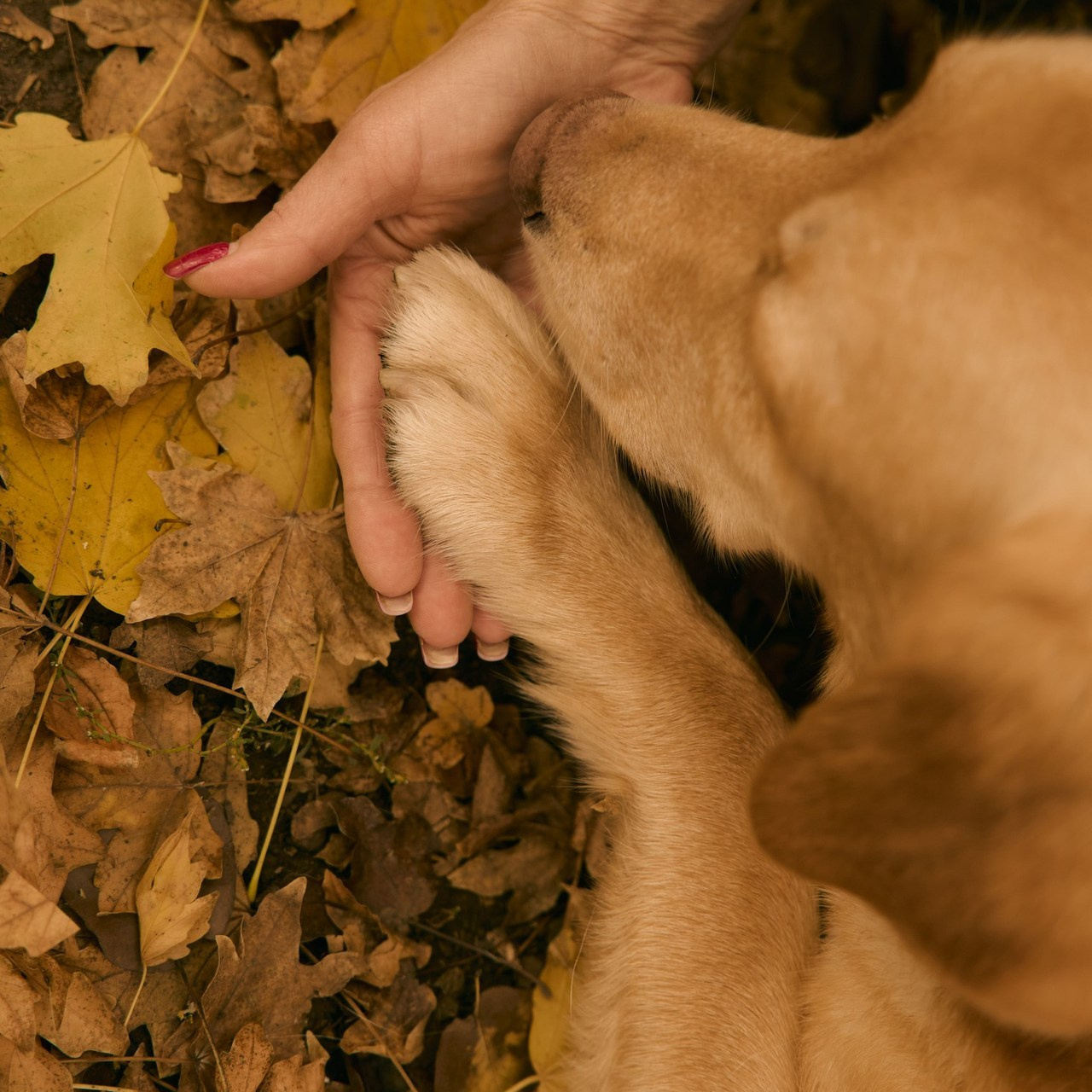 Reviews. Photographer on Rostov on Don