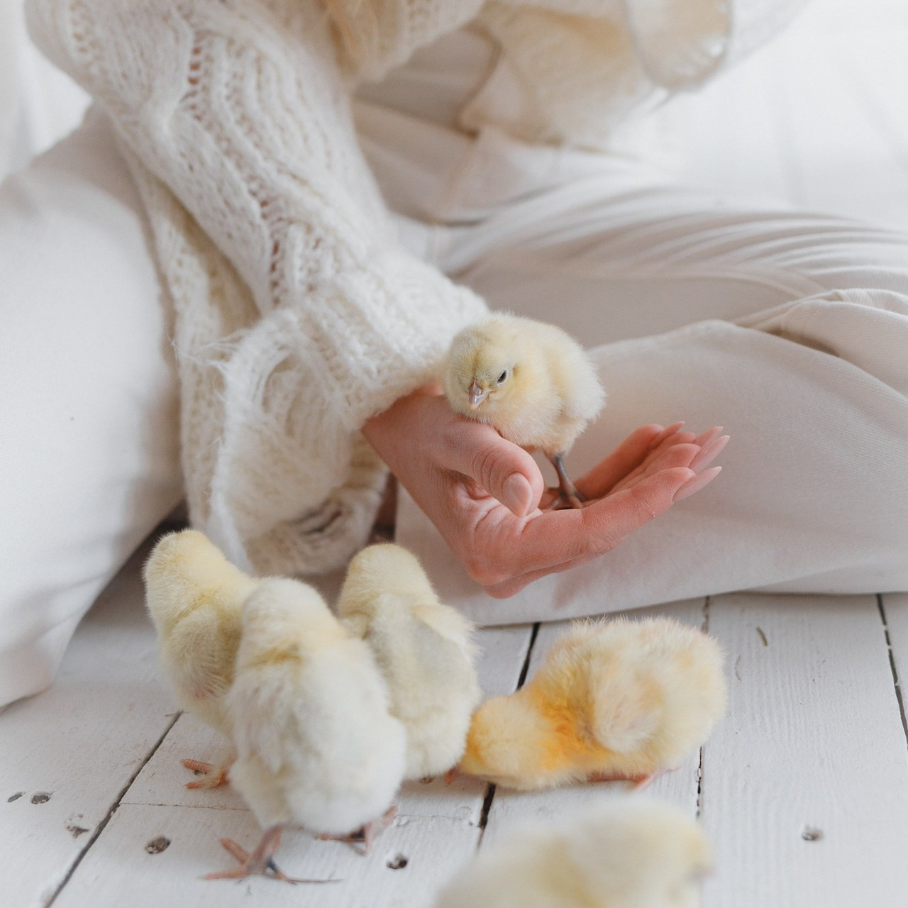 Фотограф Стрельченко Александр отзывы. Фотограф Александр Стрельченко Псков