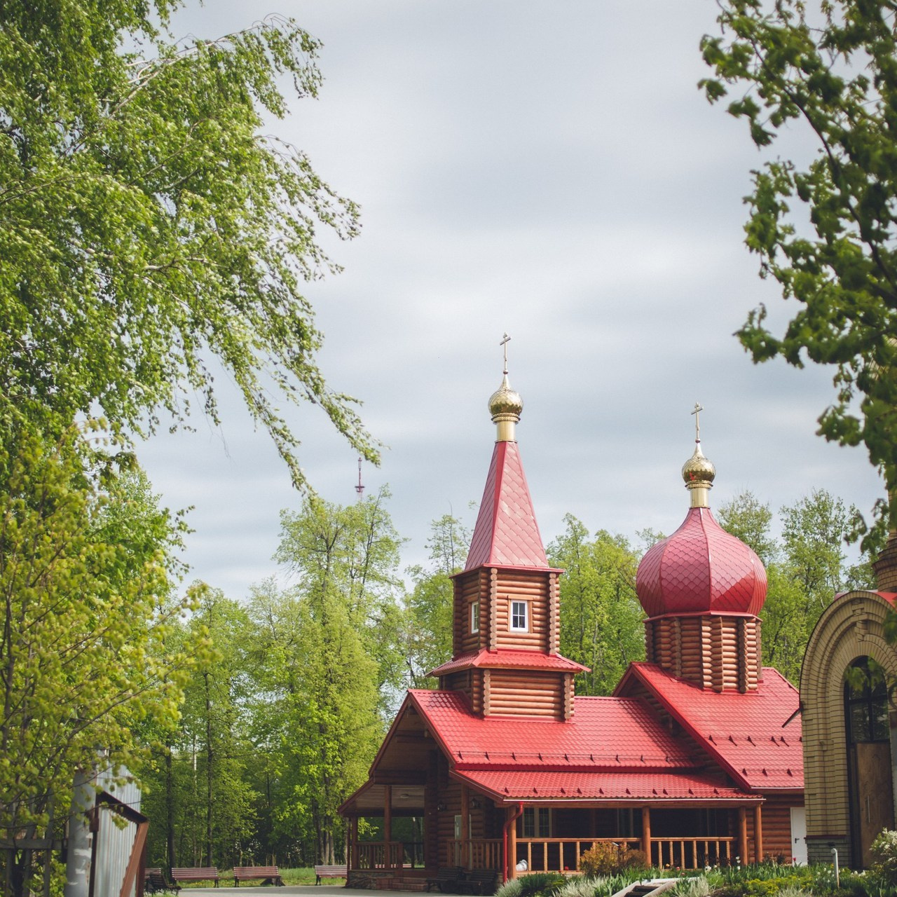 Отзывы. Семейный фотограф г. Димировград Андросова Екатерина