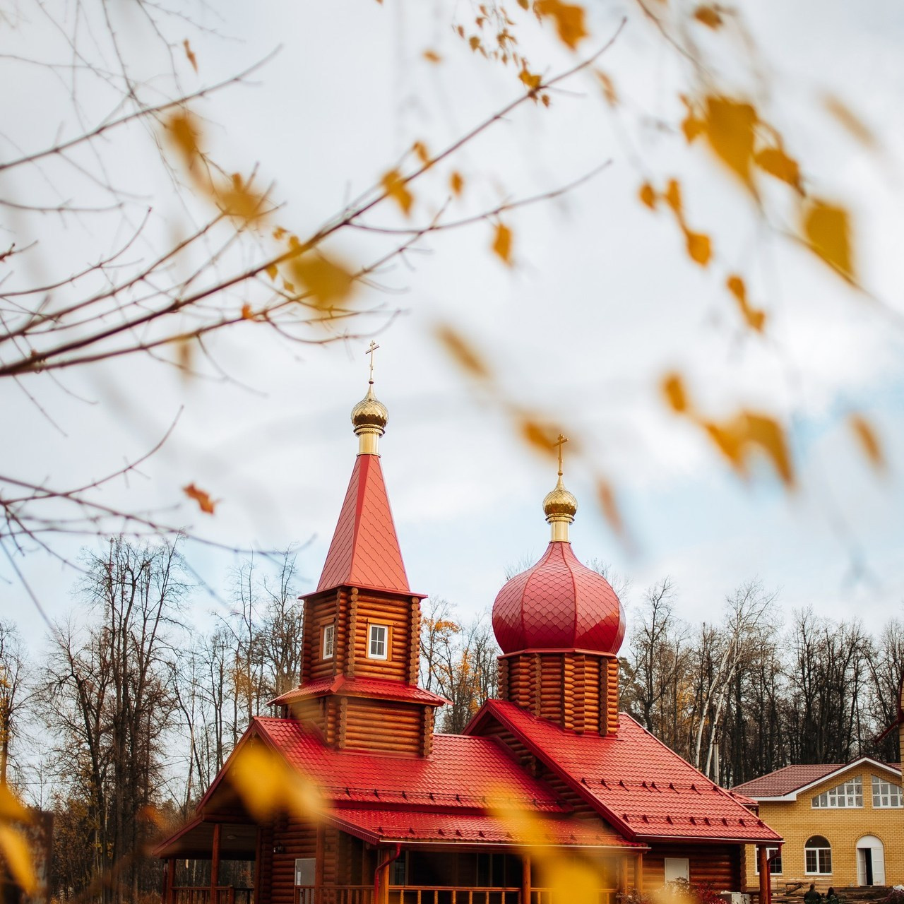 Отзывы. Семейный фотограф г. Димировград Андросова Екатерина