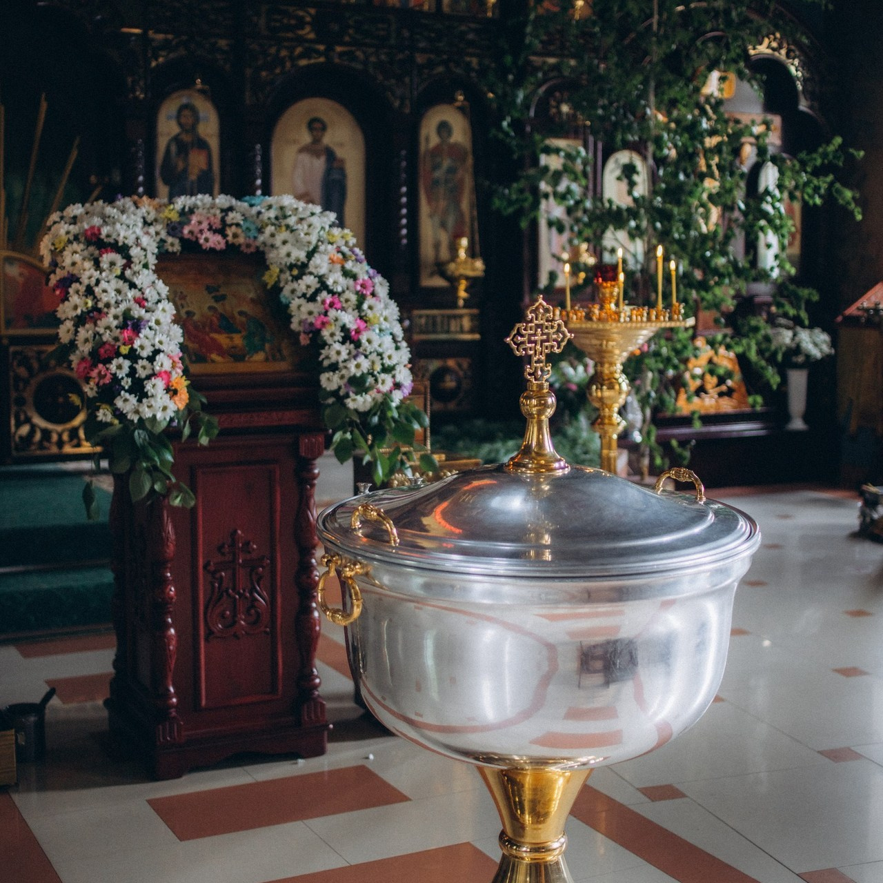 Отзывы. Семейный фотограф г. Димировград Андросова Екатерина