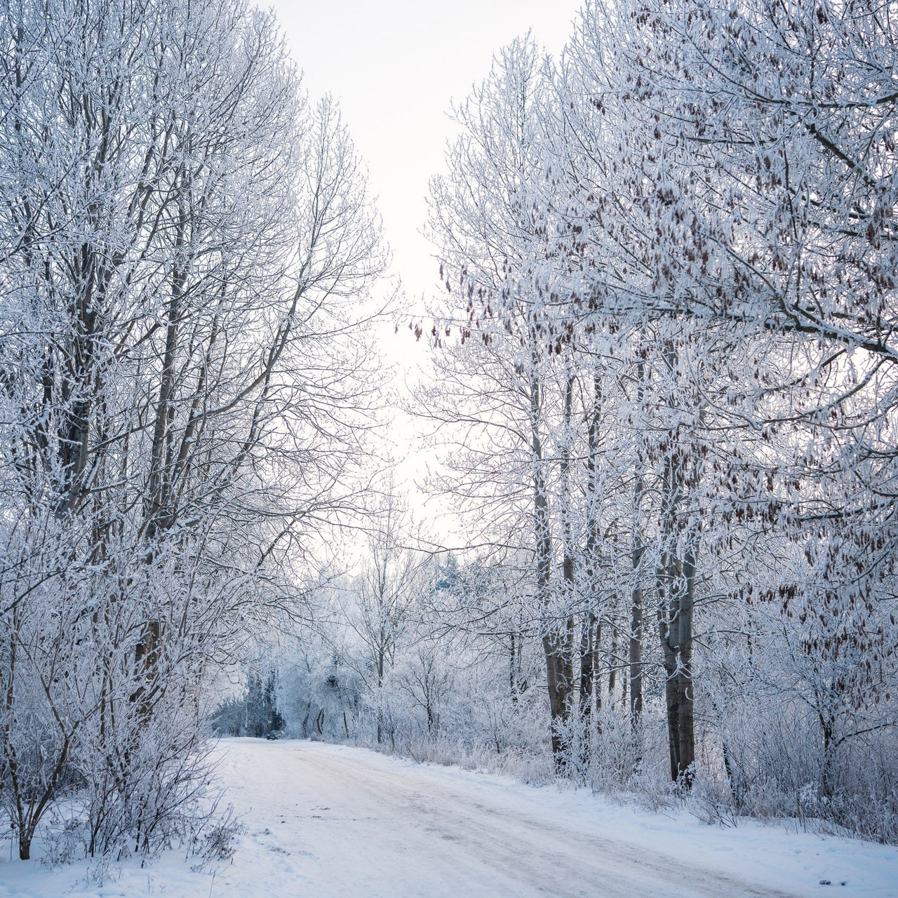 Отзывы. Фотограф Марта Козел. Гродно, Беларусь