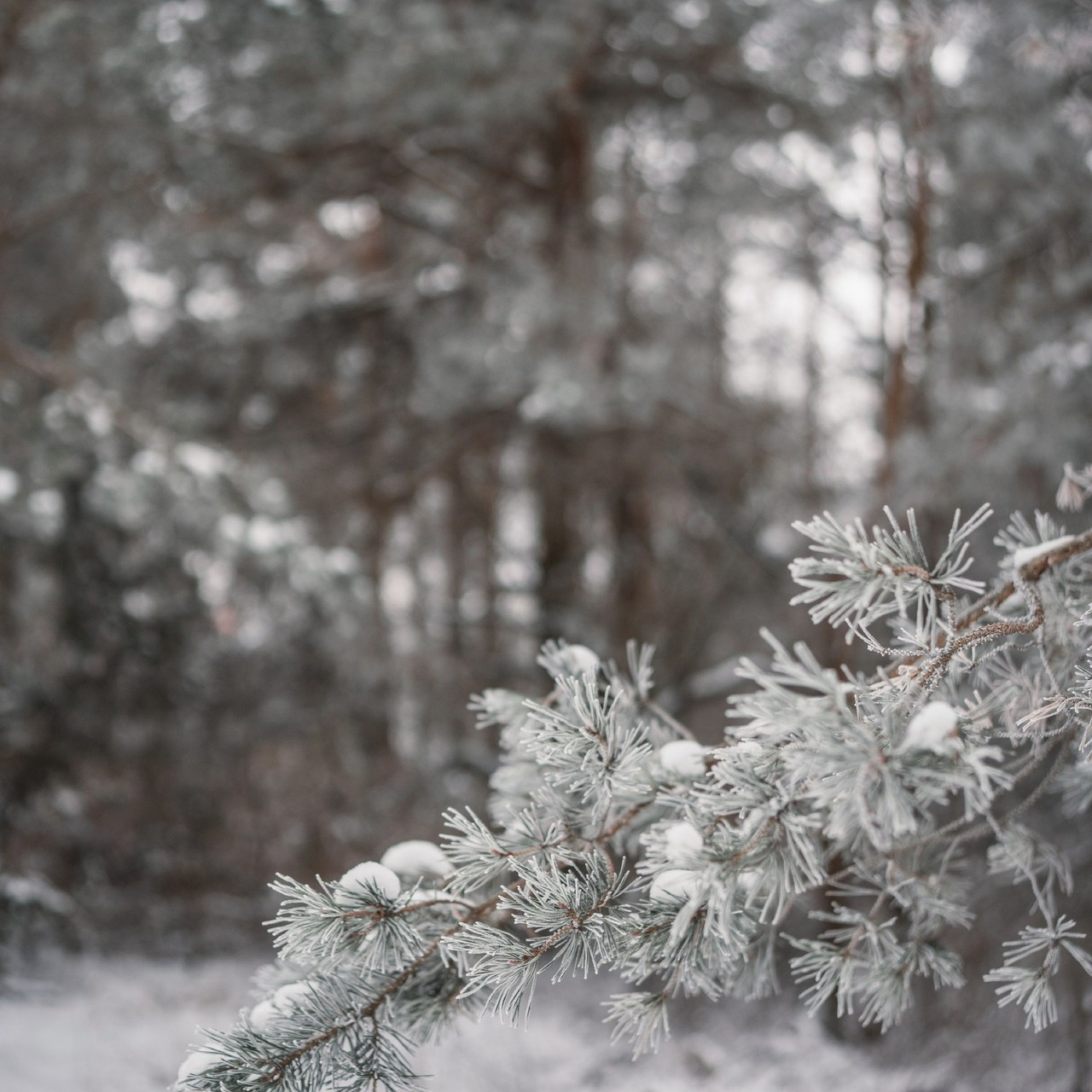 Отзывы. Фотограф Марта Козел. Гродно, Беларусь