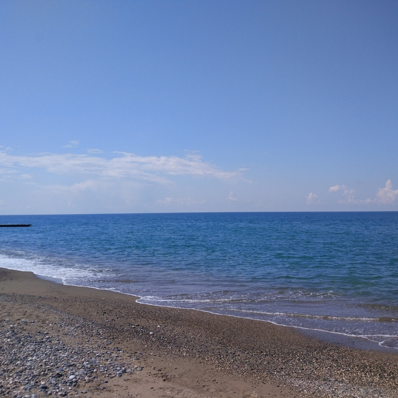 Отзывы. Живые снимки! Фотограф Даша Бендер