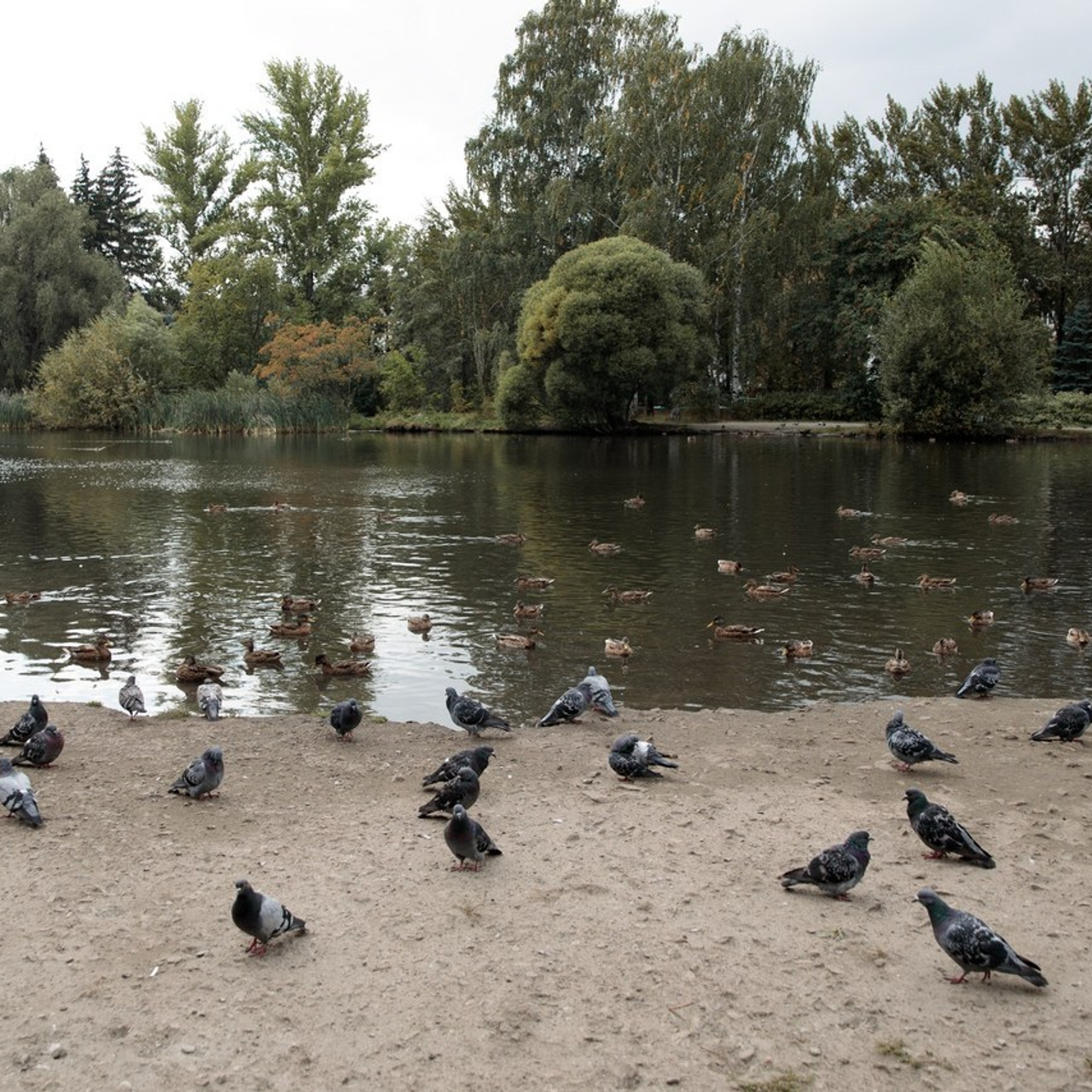 Отзывы. Свадебный портретный фотограф в Екатеринбурге Наталья Суркова