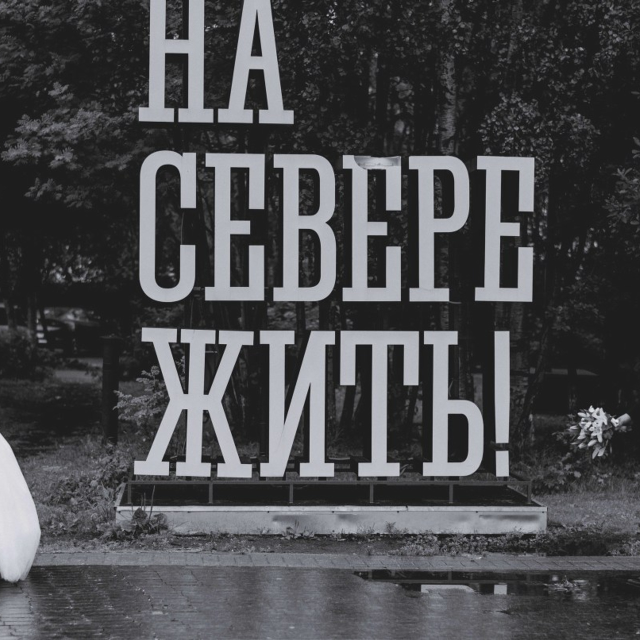 Отзывы. Семейный  и свадебный фотограф в Мурманске Мария Шепелева