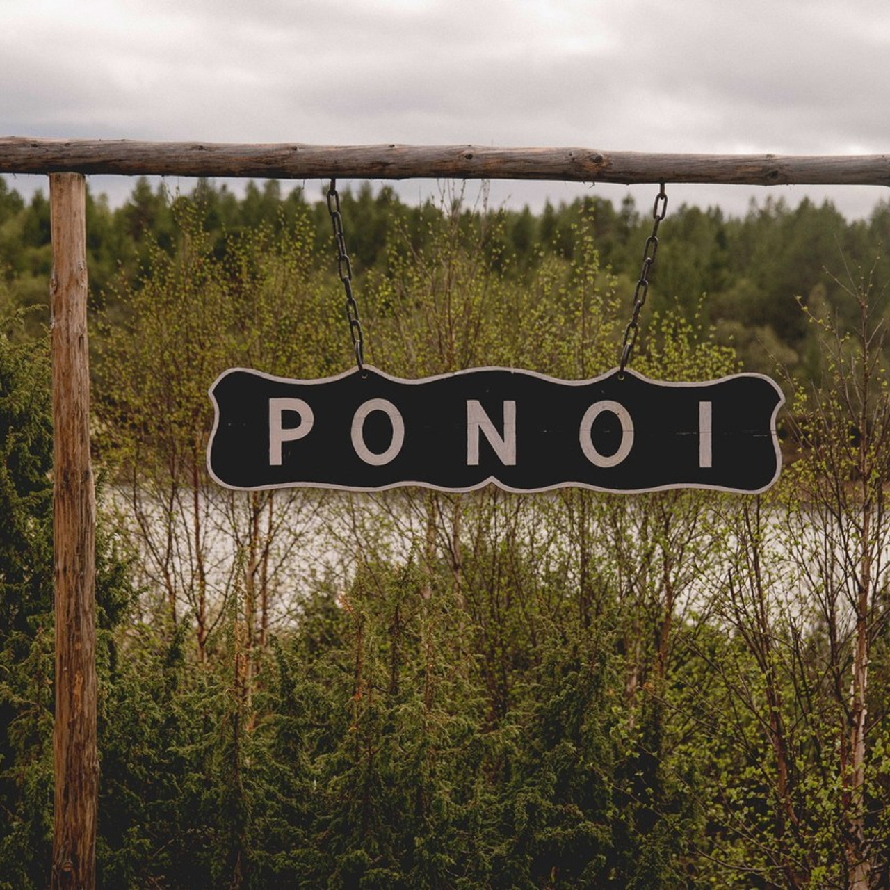 Отзывы. Семейный  и свадебный фотограф в Мурманске Мария Шепелева