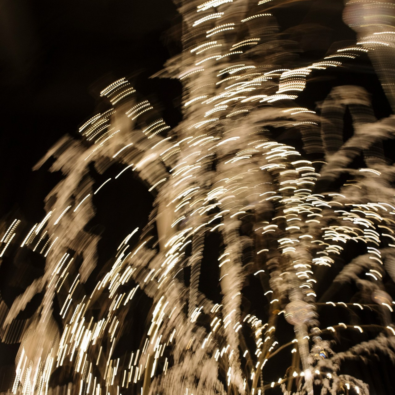 Отзывы. Свадебный и портретный фотограф Екатерина Моргунова