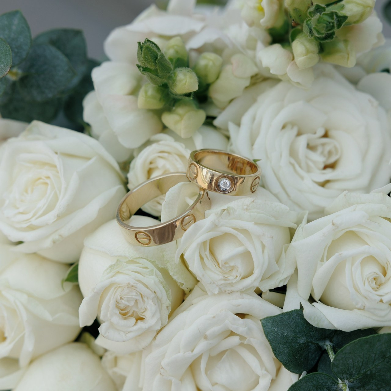 Отзывы. Фотограф Ставрополь