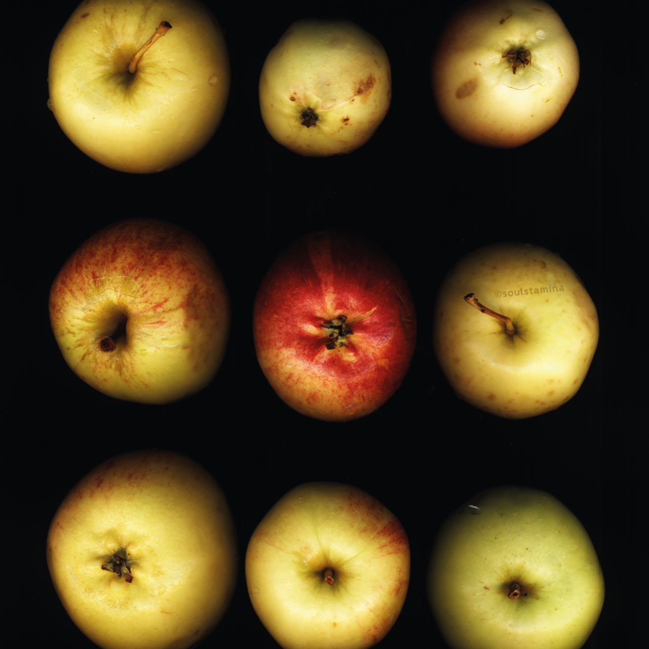 СКАНОГРАФИЯ. Soulstamina ~ graphic designer & visual artist from St.Petersburg