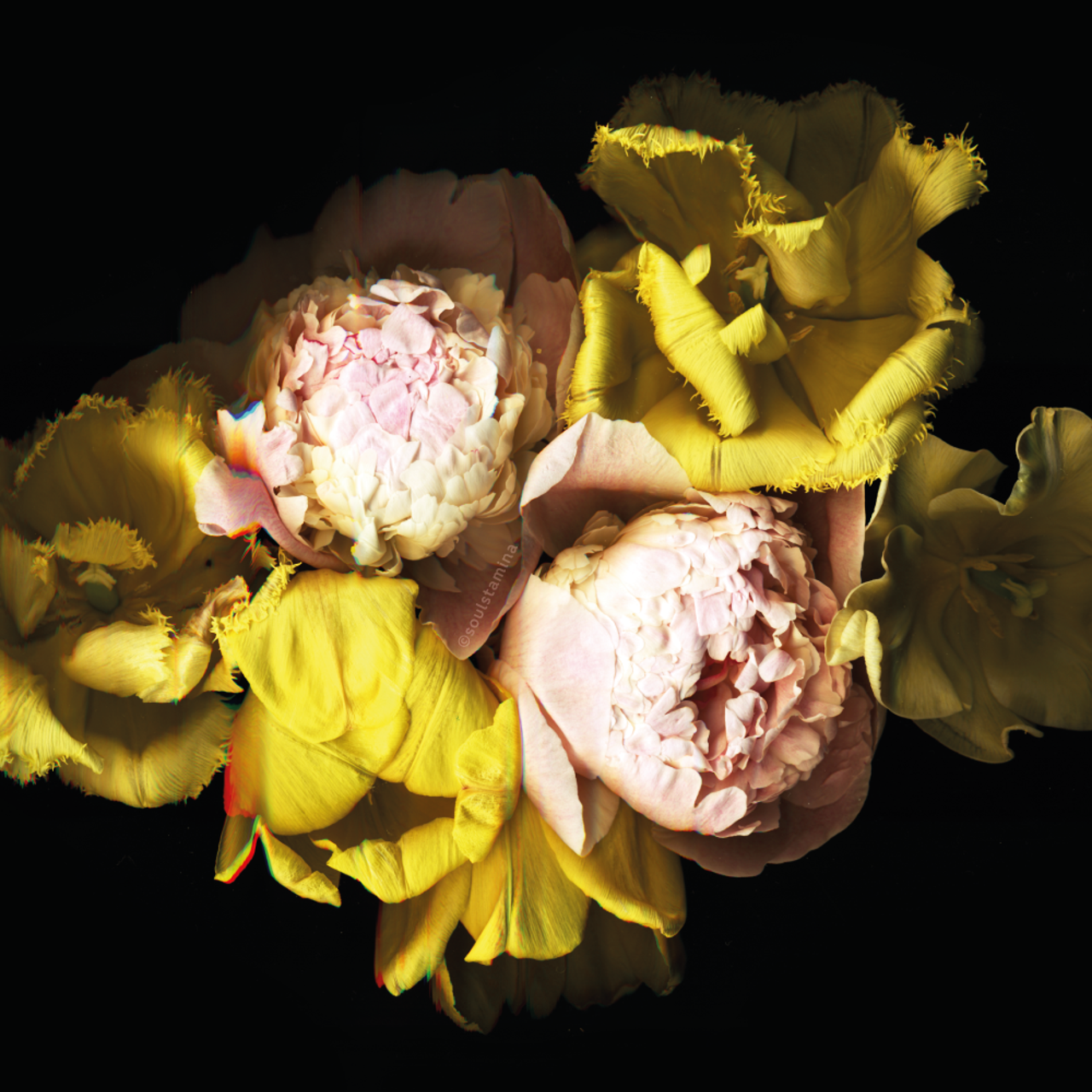 СКАНОГРАФИЯ. Soulstamina ~ graphic designer & visual artist from St.Petersburg