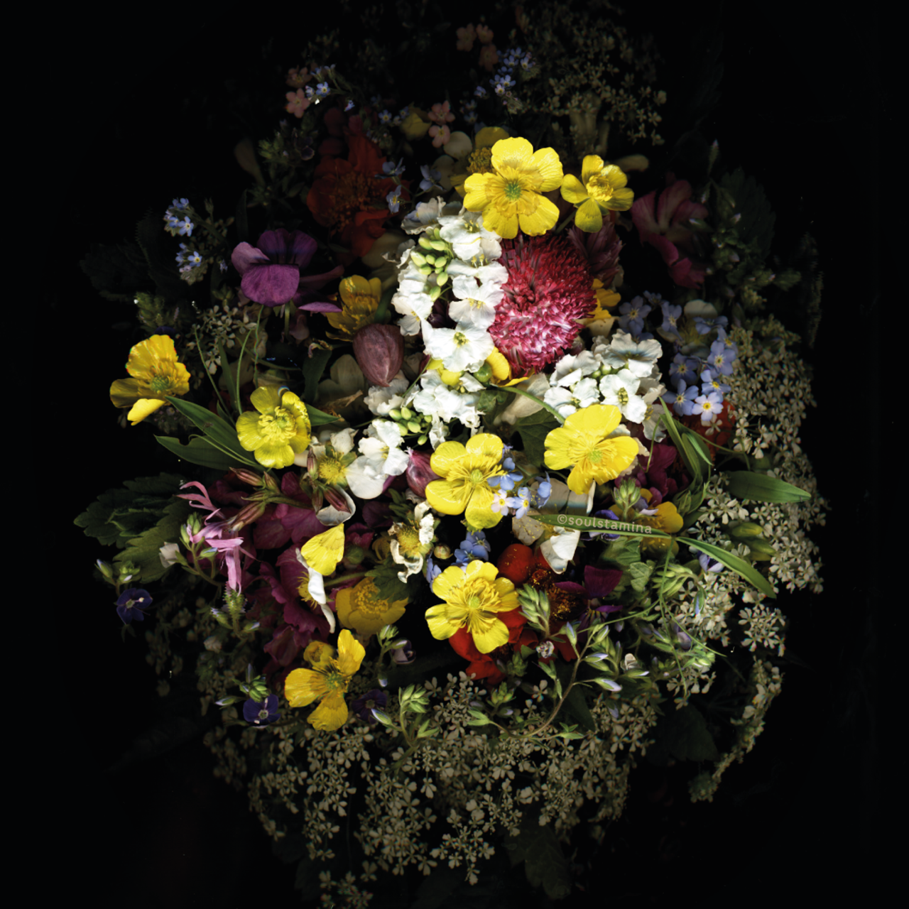 СКАНОГРАФИЯ. Soulstamina ~ graphic designer & visual artist from St.Petersburg