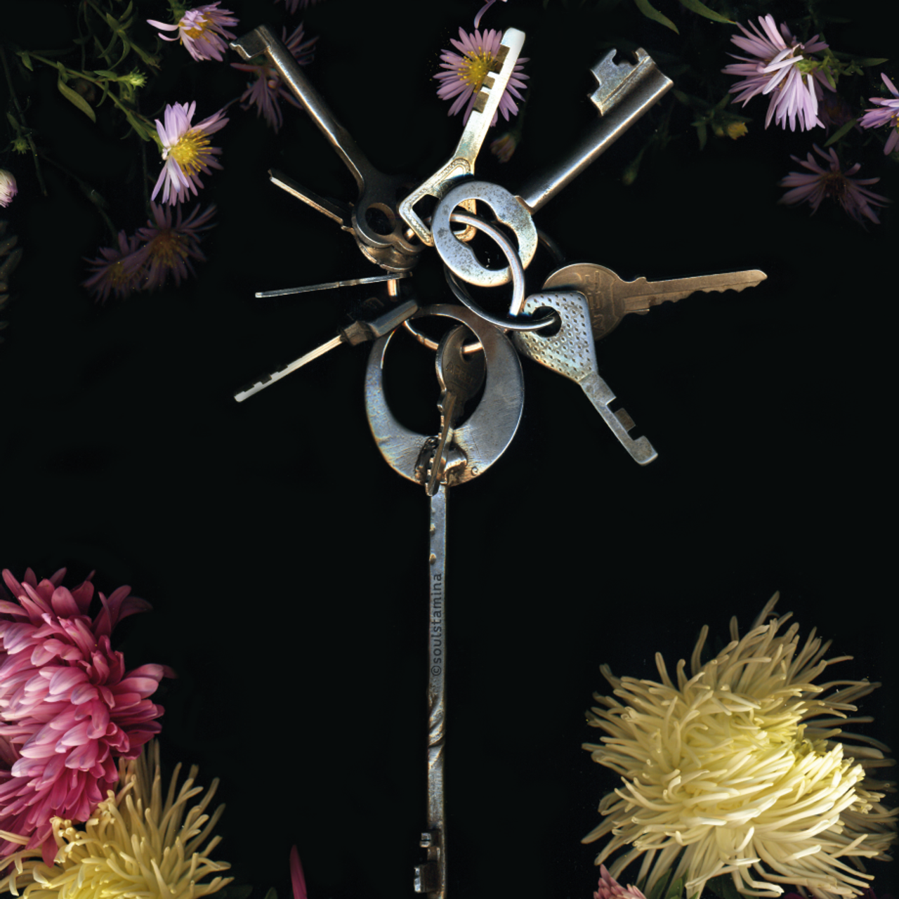 СКАНОГРАФИЯ. Soulstamina ~ graphic designer & visual artist from St.Petersburg