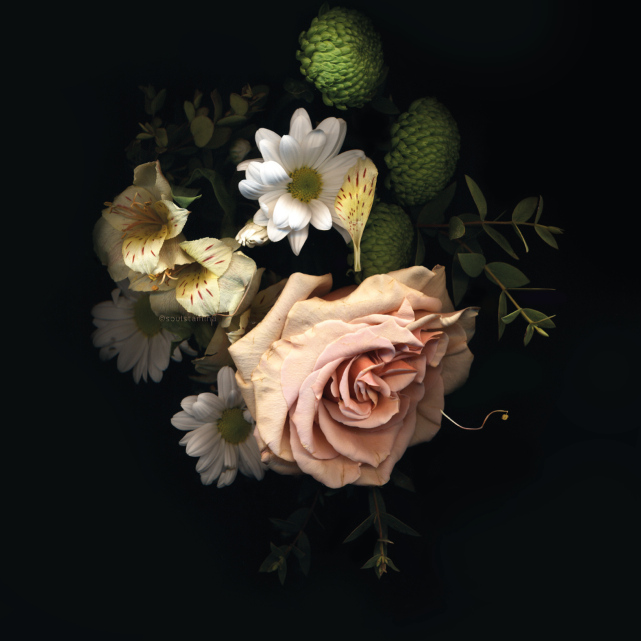 СКАНОГРАФИЯ. Soulstamina ~ graphic designer & visual artist from St.Petersburg